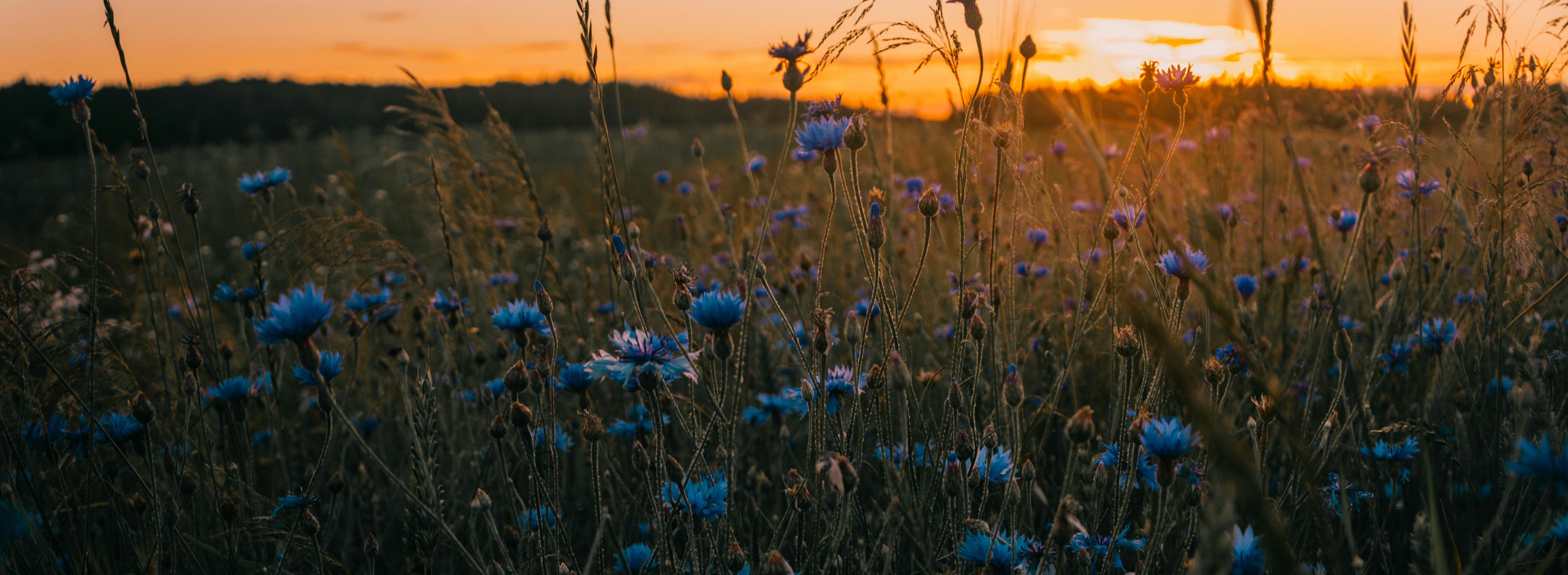 Læs om forskning og uddannelse i Venstres principprogram.