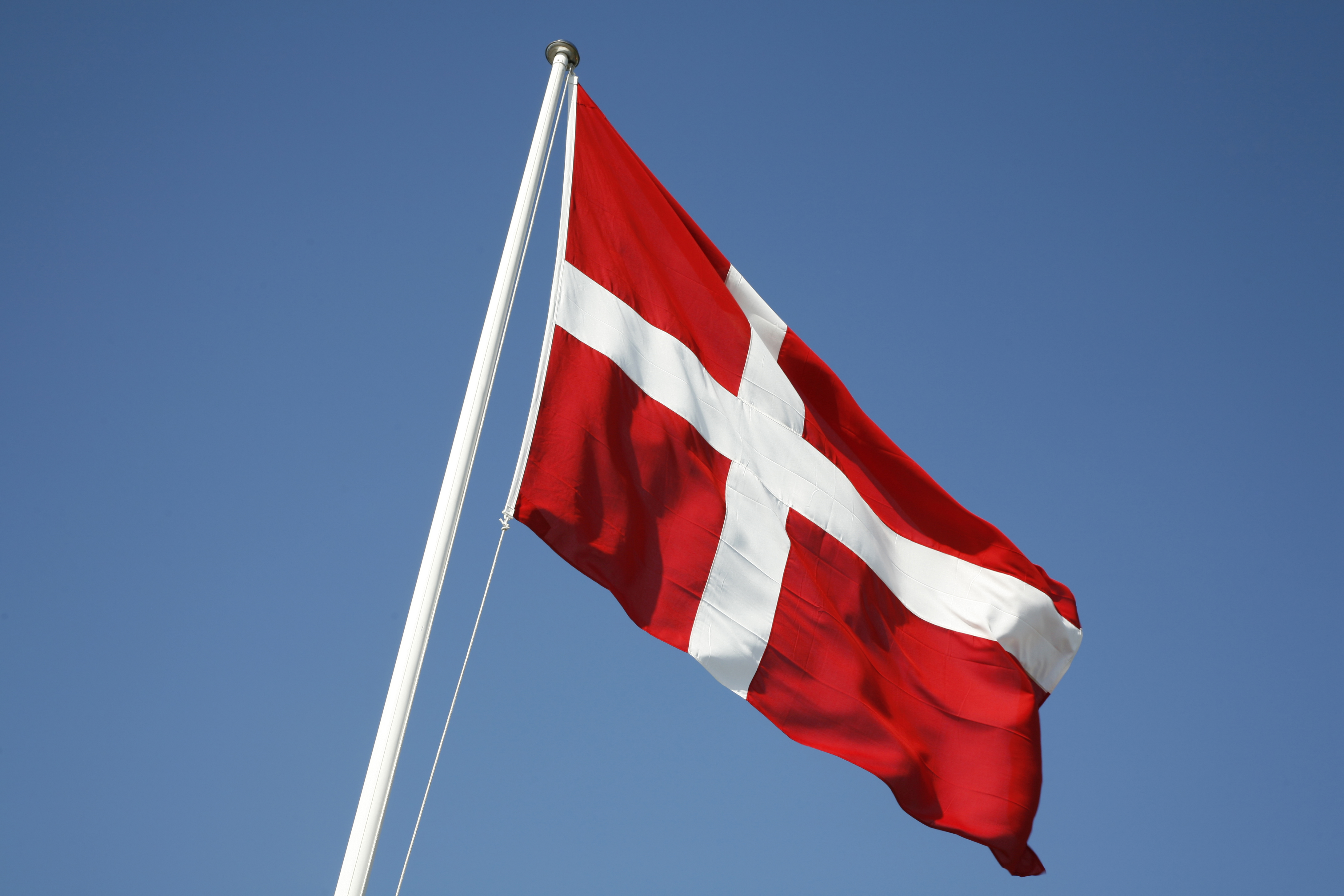 Dannebrog vejer i vinden på Grundlovsdag.